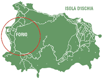 mappa ischia